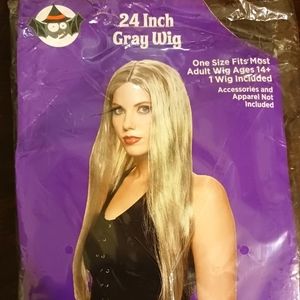 ADULT..AGES 14+...24 INCH GRAY WIG FOR COSTUME..WOMENS